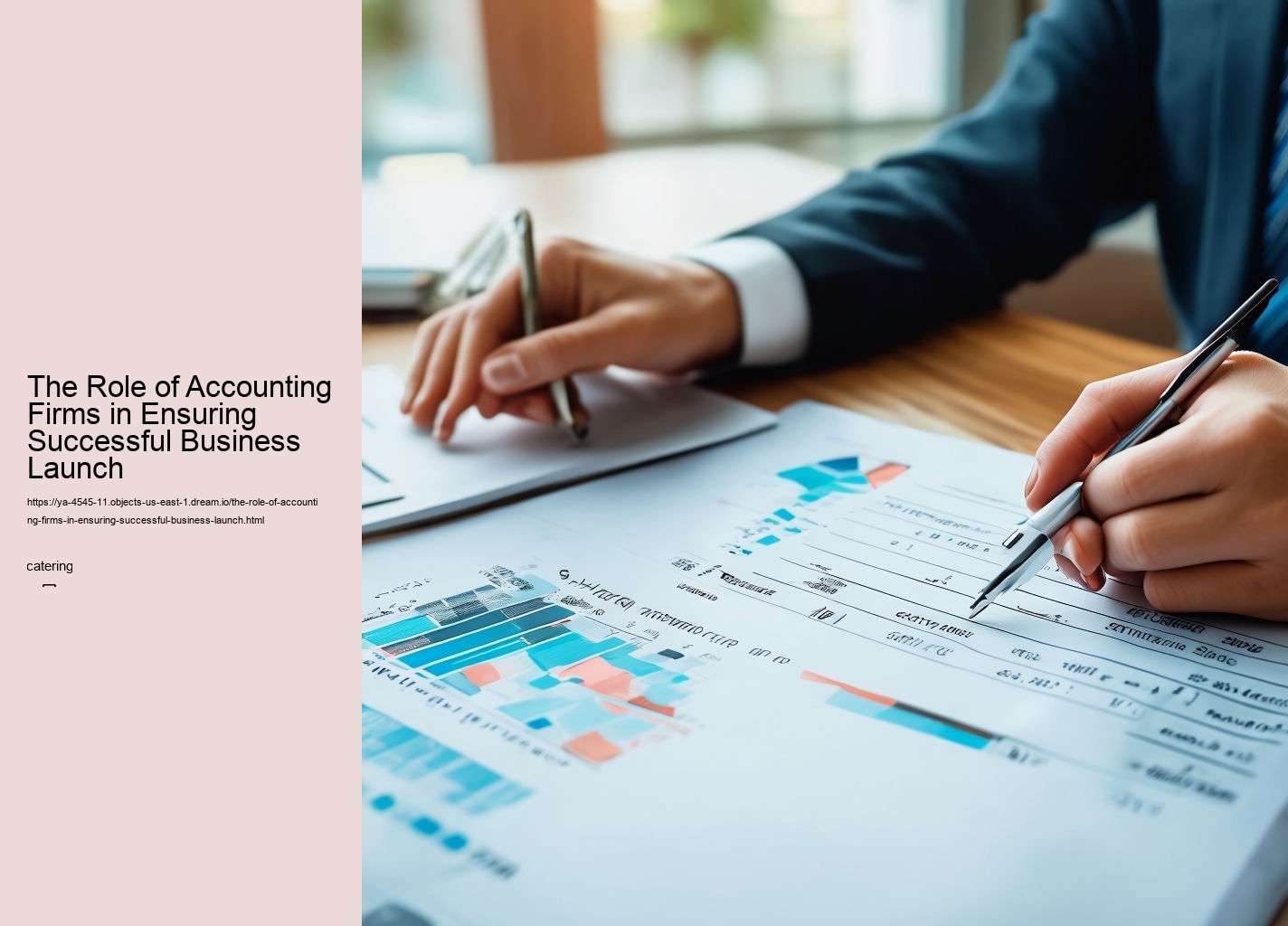 The Role of Accounting Firms in Ensuring Successful Business Launch